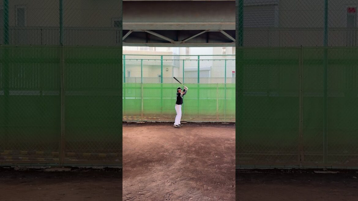 日本シリーズでの柳田悠岐選手のツーランホームラン 日本シリーズでの柳田悠岐選手のツーランホームラン