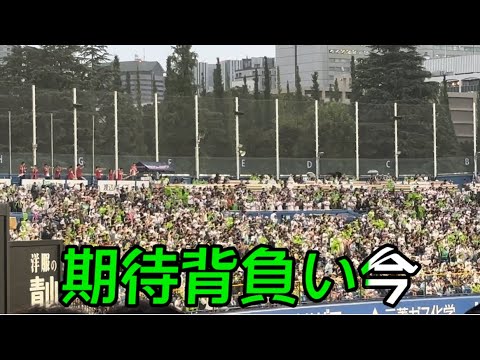 【東京ヤクルトスワローズ】岩田幸宏 選手応援歌 【東京ヤクルトスワローズ】岩田幸宏 選手応援歌