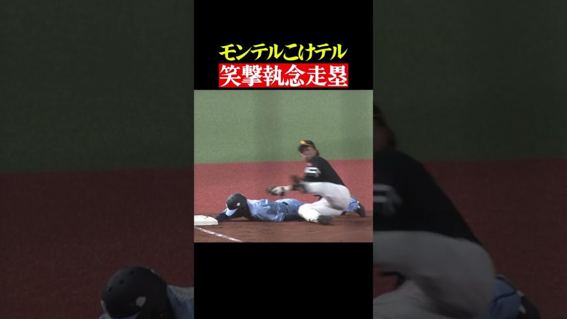 モンテルコケテル #shorts