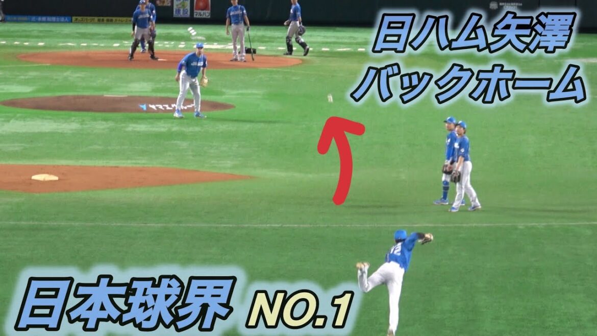 日本ハム外野シートノック‼️衝撃😊矢澤宏太の鬼肩🥹浮き上がるバックホーム🥹（万波中正・水谷瞬・松本剛・野村佑希 ・五十幡亮汰 ）2025.8.10ホークス対日本ハム