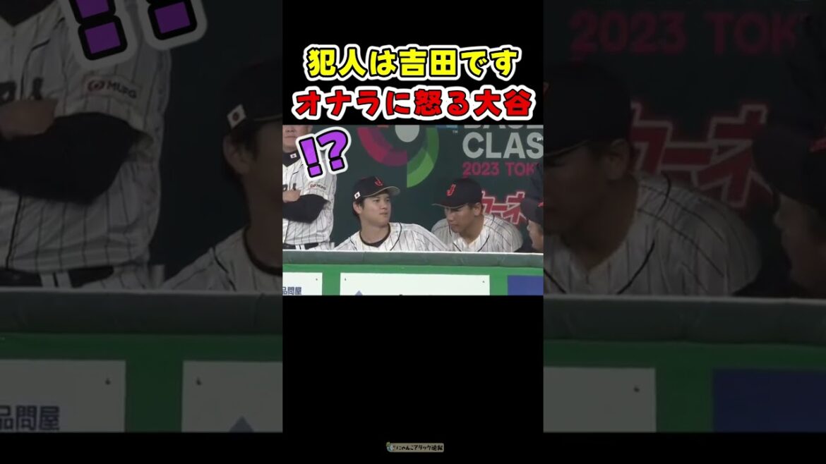 大谷、隣にいたヌートバーに怒る😂【ドジャース大谷翔平】 #野球