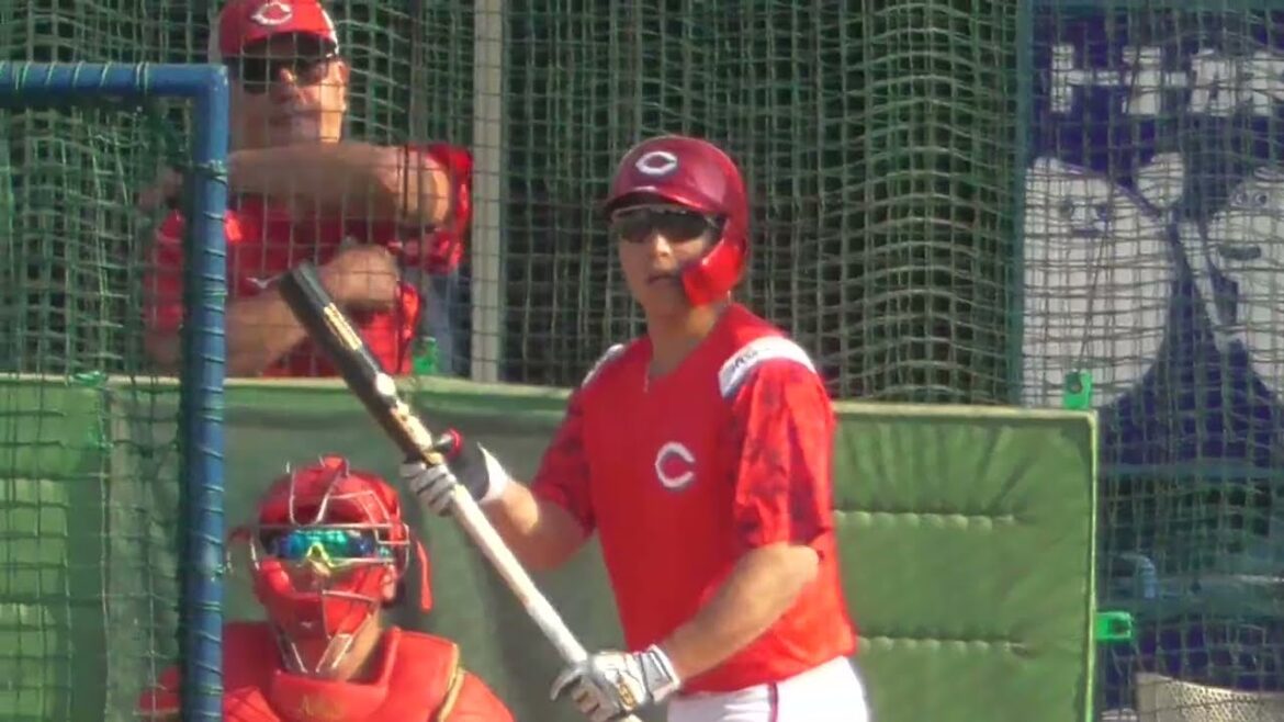 2025年8月5日 広島東洋・石原 貴規 選手の試合前フリー打撃練習