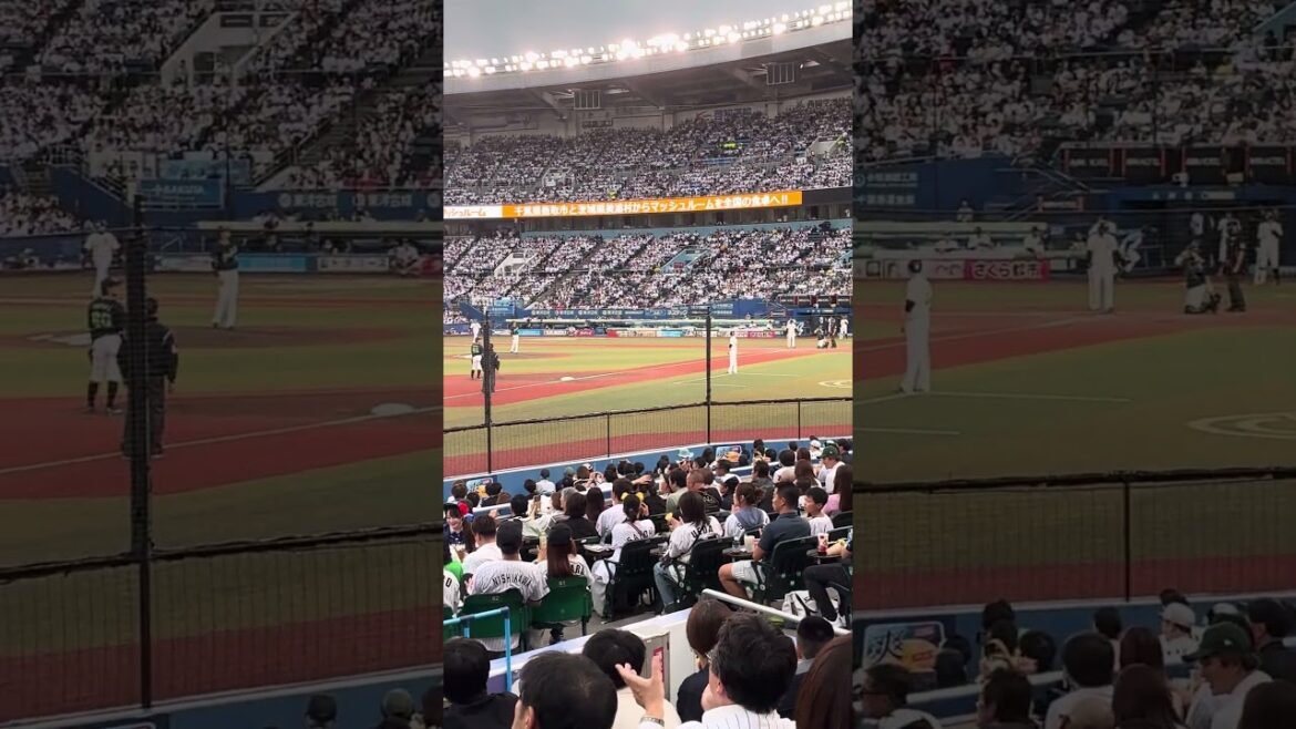 千葉ロッテマリーンズ 藤原恭太応援歌習志野高校ver#藤原恭太#千葉ロッテマリーンズ #東京ヤクルトスワローズ