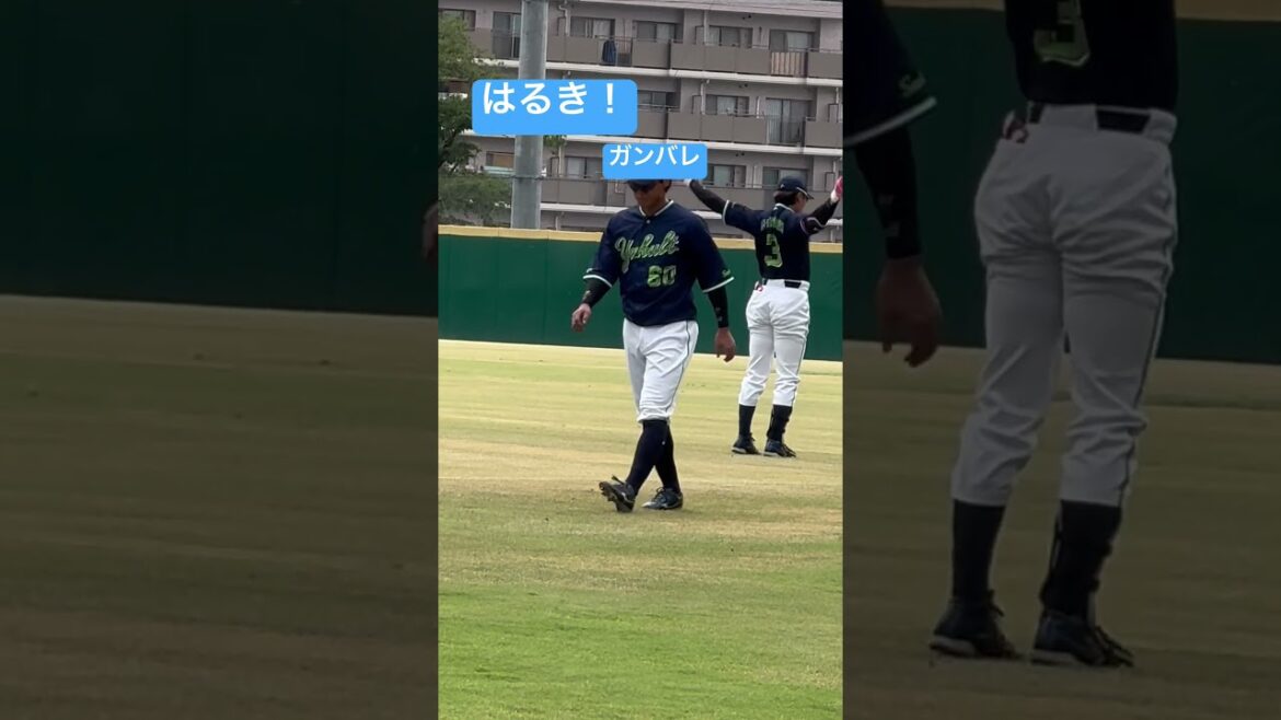 西川遥輝選手ガンバレ！ヤクルトスワローズ二軍INカーミニーク