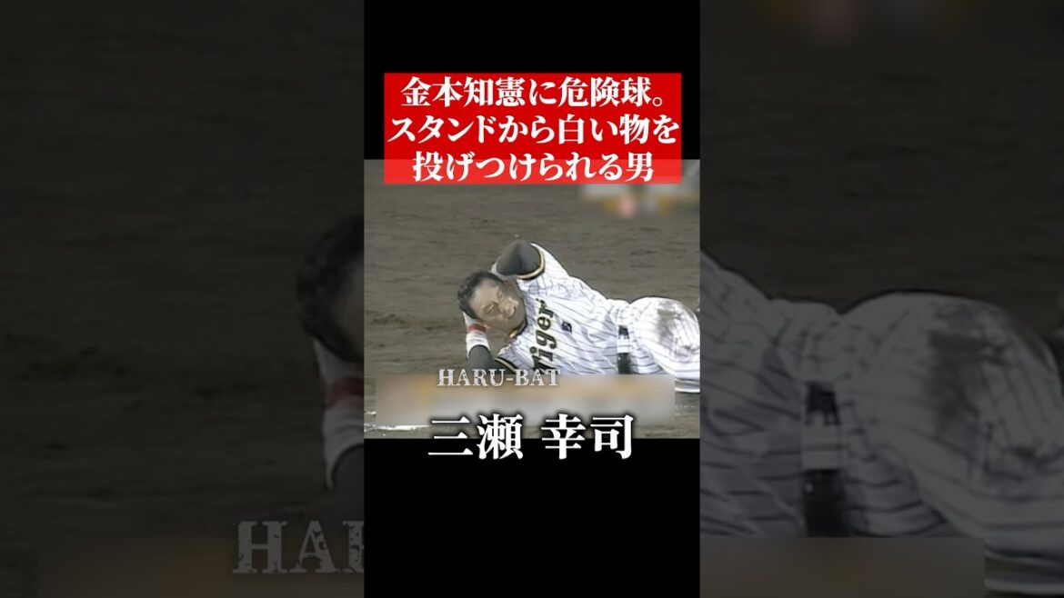 金本知憲に頭部危険球を投げる男 #shorts