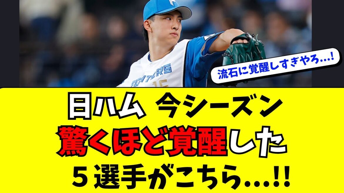 【日ハム】今年、とんでもなく覚醒した5選手がこちら 【日ハム】今年、とんでもなく覚醒した5選手がこちら