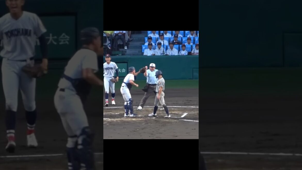 横浜高校・奥村頼人の神バックホームに甲子園が沸く！　#高校野球 #甲子園 #横浜高校 #全国高校野球選手権大会 #敦賀気比