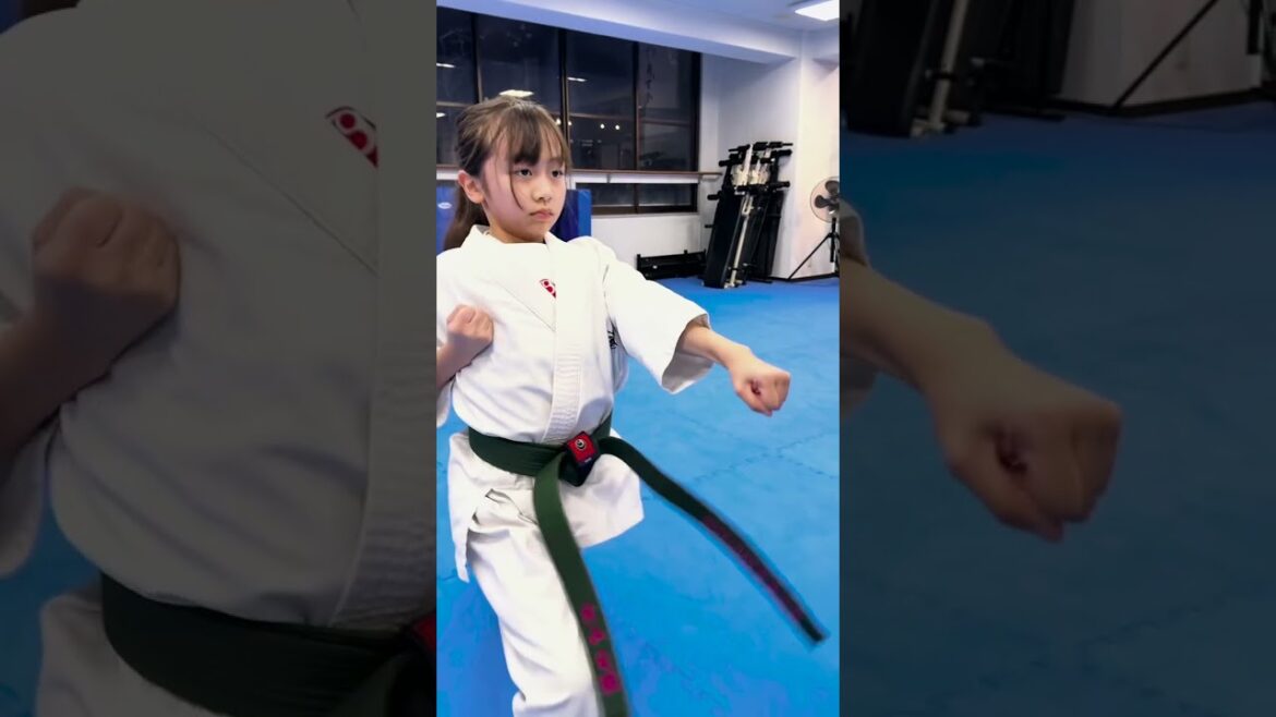 平安そのII：福岡支部  #karate #空手 #kyokushin #martialarts #極真空手 #新極真会 #sports #shinkyokushin #budo