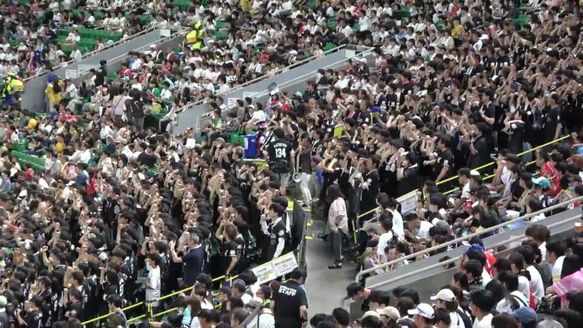 ロッテマリーンズ応援