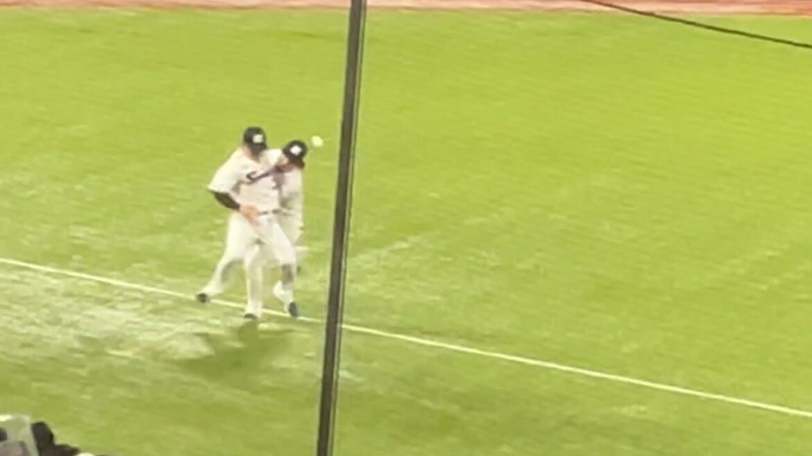 【2人とも大丈夫か…?】レフトフライでショート長岡とレフト内山が交錯してしまう… 東京ヤクルトスワローズ 横浜denaベイスターズ 2025.8/13