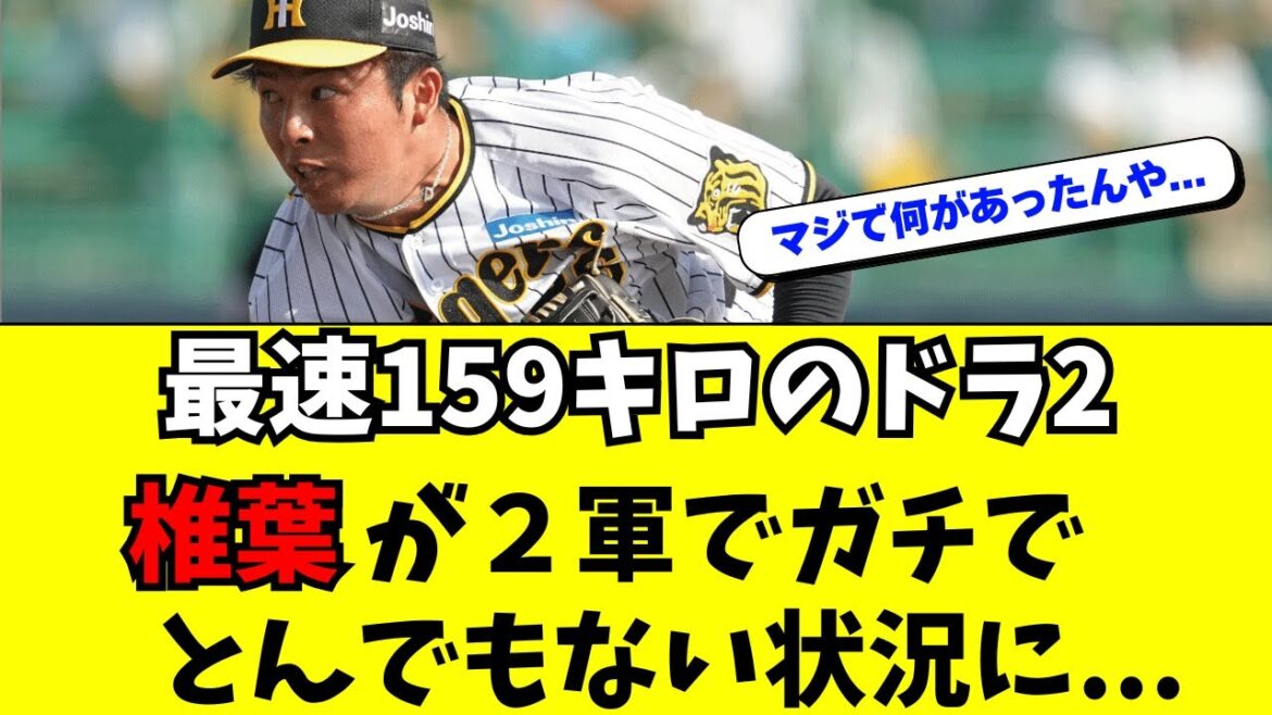 【阪神】ドラ2・159キロ右腕・椎葉剛がとんでもない状況に 【阪神】ドラ2・159キロ右腕・椎葉剛がとんでもない状況に