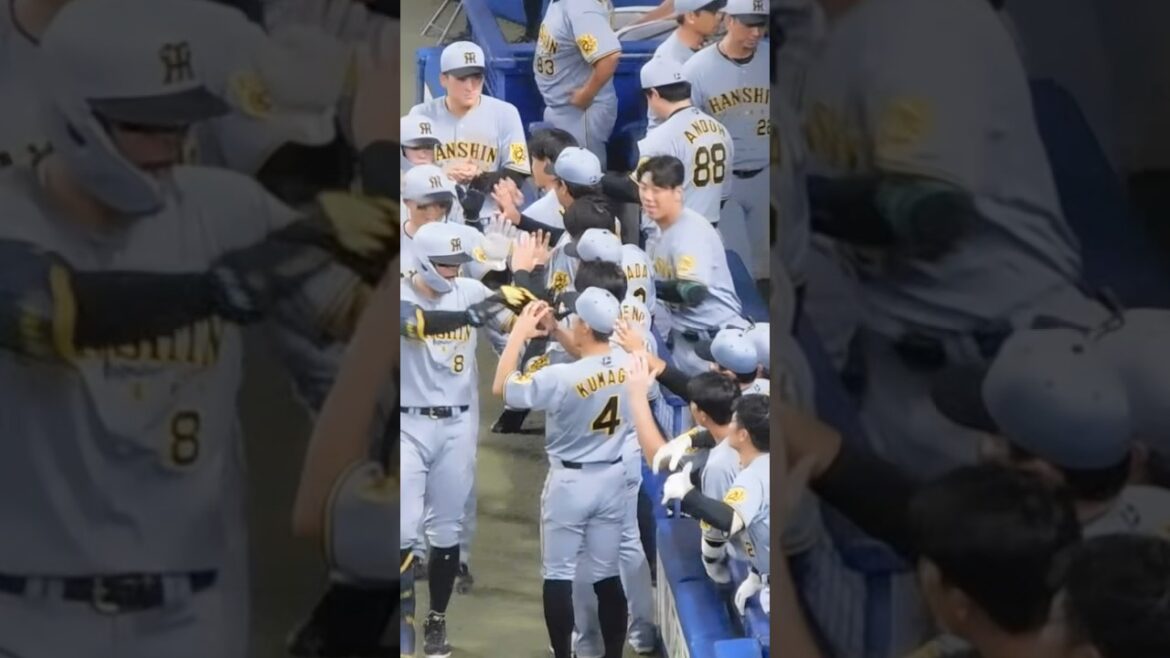 逆転3ランを放ち雄叫びを上げながらベンチに戻る佐藤輝明 チームメイトも最大の祝福で出迎え 逆転3ランを放ち雄叫びを上げながらベンチに戻る佐藤輝明 チームメイトも最大の祝福で出迎え