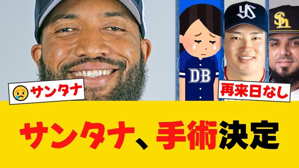 サンタナが米国で右肘手術 今季の再来日はなし 60試合.274 3本15打点【DeNAファンの反応】【Y速報】