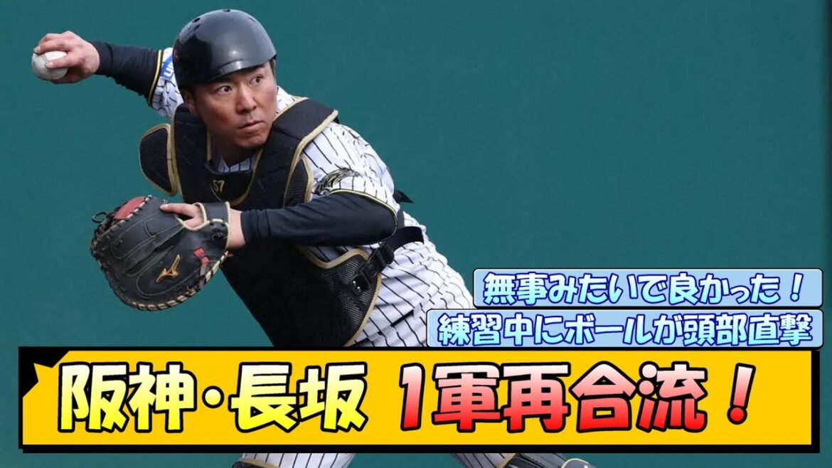 阪神・長坂 1軍再合流! 阪神・長坂 1軍再合流!