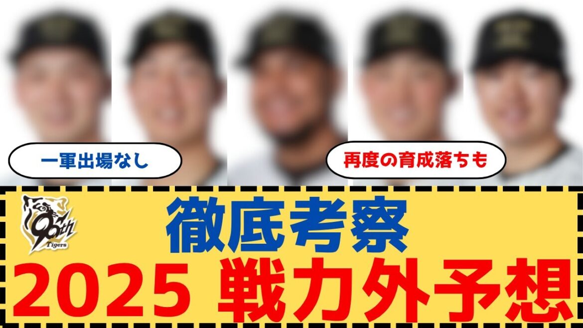 【徹底考察】2025年の戦力外予想　今季成績をベースにポジション別の予想【阪神タイガース】
