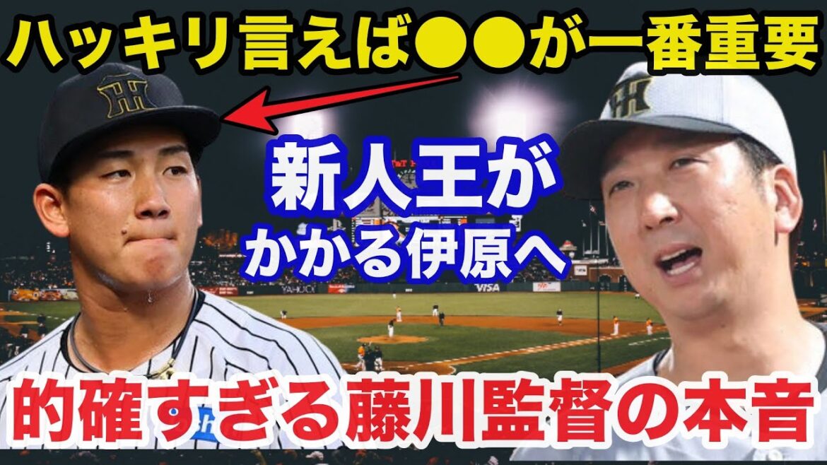 阪神.藤川監督「見ればわかりますよね」新人王がかかる伊原陵人に藤川監督が思わず漏らしたある本音が的確すぎると話題に【阪神タイガース/プロ野球】 阪神.藤川監督「見ればわかりますよね」新人王がかかる伊原陵人に藤川監督が思わず漏らしたある本音が的確すぎると話題に【阪神タイガース/プロ野球】