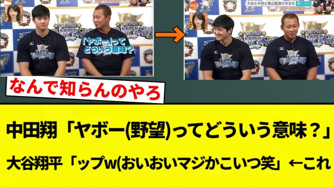 【畜谷】中田翔「ヤボー(野望)ってどういう意味?」大谷翔平「ップw(おいおいマジかこいつ笑」←これ【プロ野球反応集】【2chスレ】【なんG】 【畜谷】中田翔「ヤボー(野望)ってどういう意味?」大谷翔平「ップw(おいおいマジかこいつ笑」←これ【プロ野球反応集】【2chスレ】【なんG】