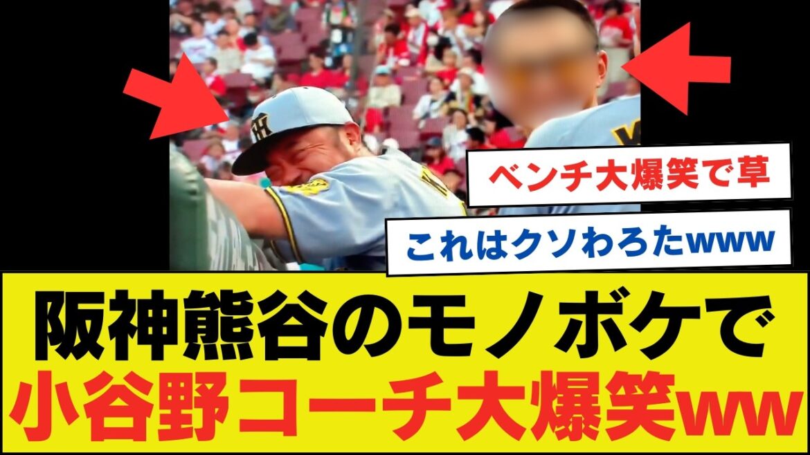 熊谷のモノボケで、小谷野コーチが大爆笑してしまうwwwwwwwwww【ネットの反応】