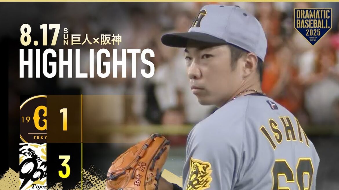 【ハイライト・8/17】阪神カード勝ち越しでM22！石井大智 プロ野球新の40試合連続無失点！髙寺 先制打＆先発・才木 今季11勝目【巨人×阪神】