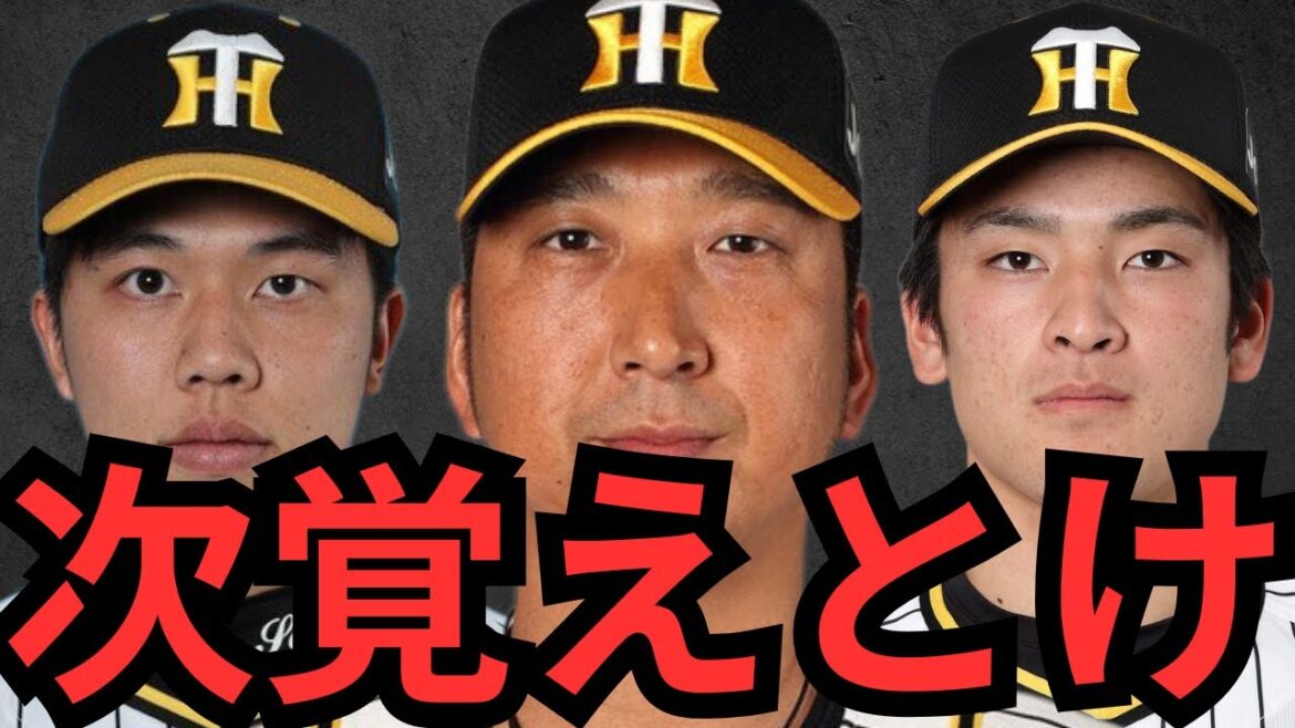 【8/17 巨人対阪神】阪神になんぼ負けんねん！！！巨人舐められてんねん！悔しないんか⁉︎チャンスで後一本って何回言ってんねん！！ええ加減にせえや！結局負け越し…2試合で1得点でどうやって勝つねん！！