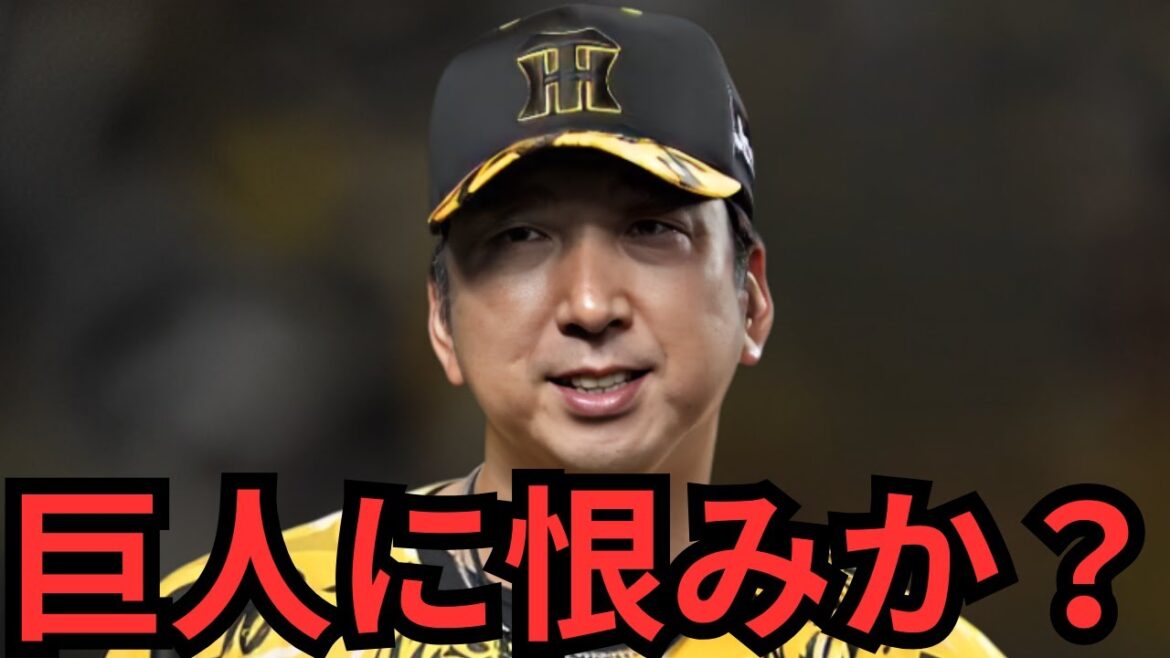 おい！藤川監督！！完全に巨人戦に向けて調整してるやろ！！計画的に主力休ませるな！！絶対巨人に恨みあるやろ！！！！！