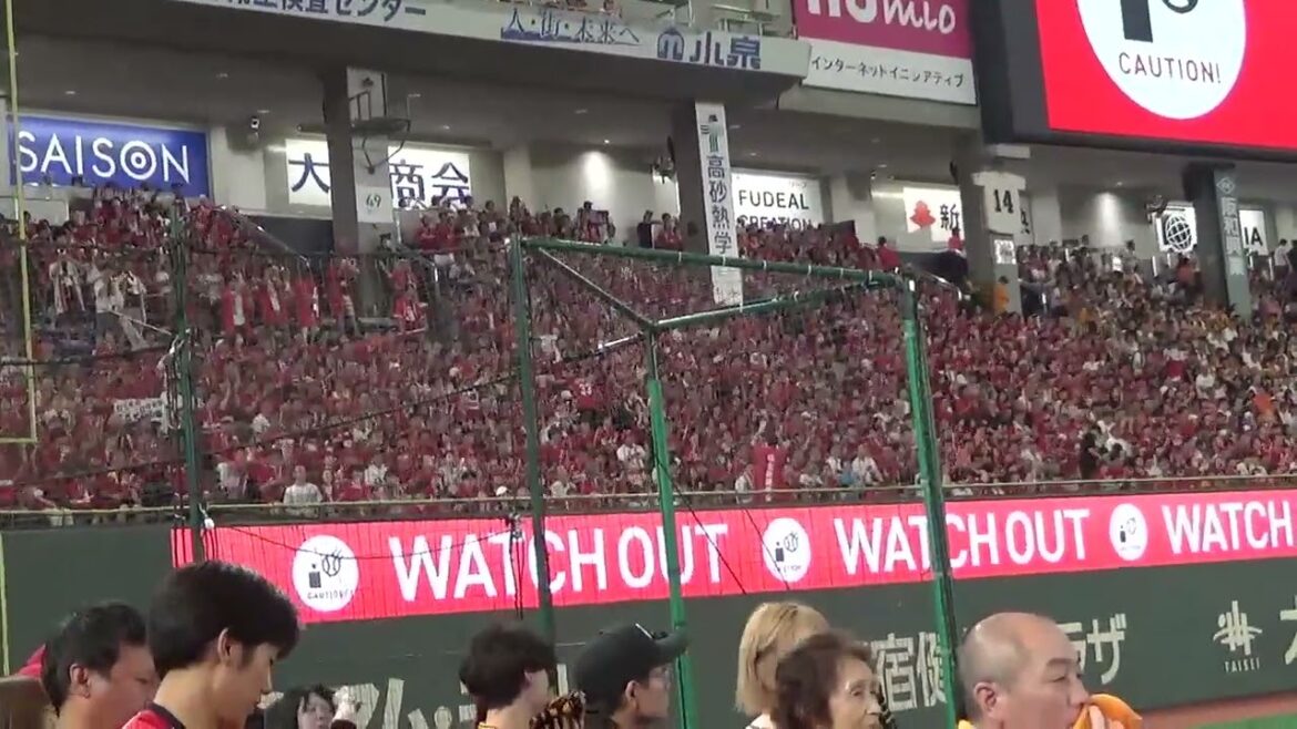 広島東洋カープ　小園海斗　新しい歌詞での応援歌　2025.7.6