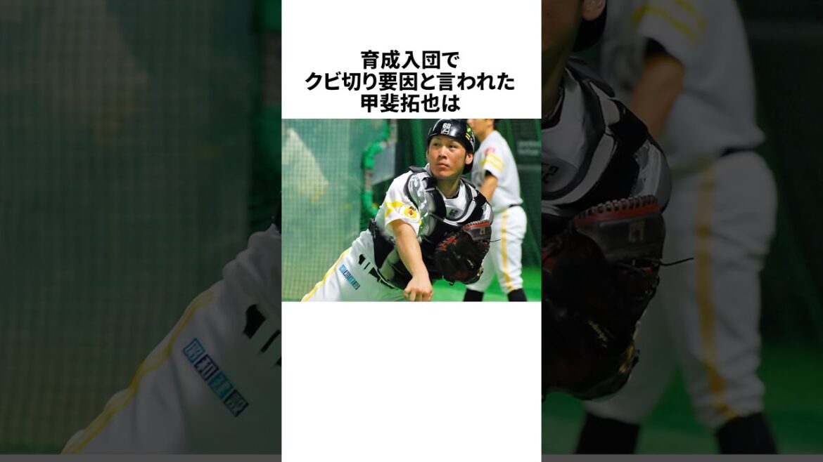 クビ切り要員・甲斐拓也の山下斐紹についての雑学 #野球 #プロ野球 #野球雑学