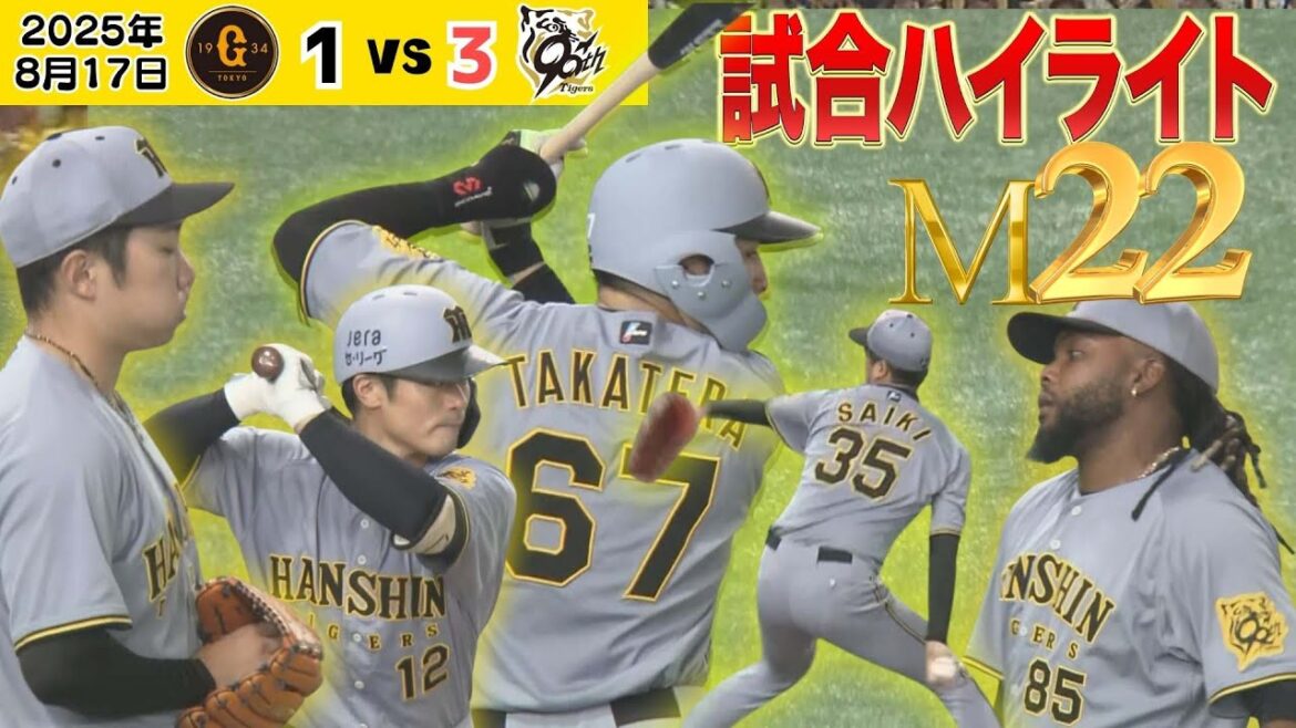 【8/17 巨人ー阪神 虎目線ハイライト 】カード勝ち越しでM22！髙寺殊勲打！石井プロ野球記録樹立（2025年8月17日 巨人ー阪神）  #サンテレビボックス席