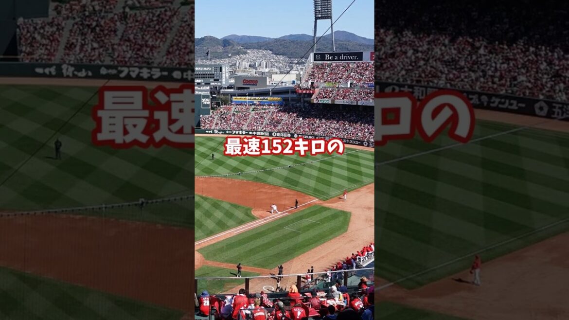 #広島東洋カープ とある選手のここまでの野球人生 #広島東洋カープ とある選手のここまでの野球人生