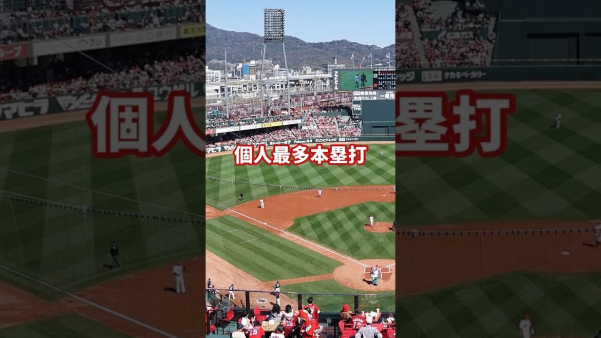 #広島東洋カープ とある選手のここまでの野球人生