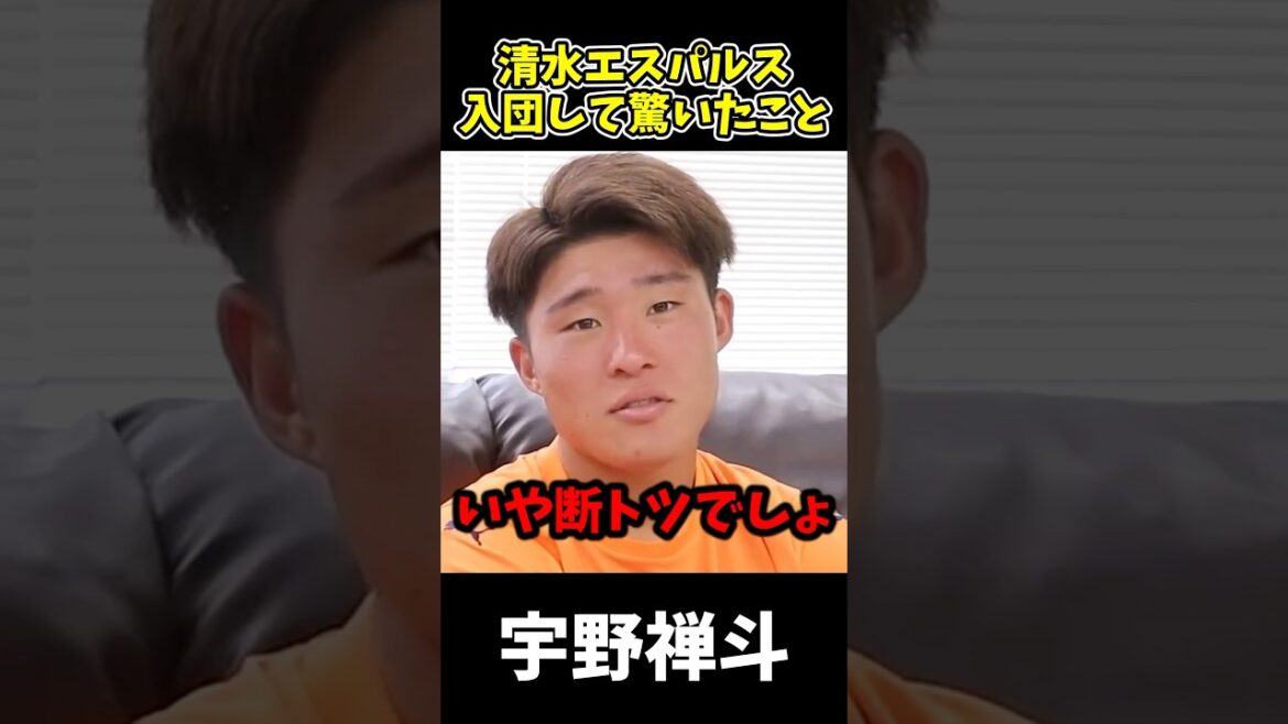 【レベル桁違い】宇野選手が驚いた清水サポの底力 #サッカー #jリーグ #清水エスパルス #チャント #宇野禅斗 #サポーター 【レベル桁違い】宇野選手が驚いた清水サポの底力 #サッカー #jリーグ #清水エスパルス #チャント #宇野禅斗 #サポーター