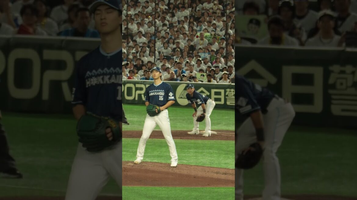 達孝太のカッコ良すぎるクイックモーション‼ #達孝太 #北海道日本ハムファイターズ #ファイターズ #日本ハム #日本ハムファイターズ #投球フォーム#野球