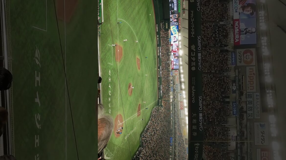 2025年8月6日 巨人対ヤクルト8回表 太田賢吾選手の応援席 VS大勢