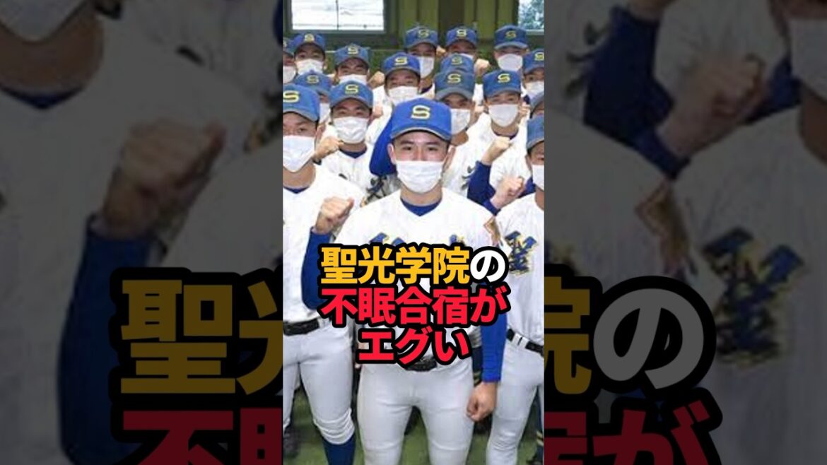 聖光学院の不眠合宿がエグい#shorts #野球 #野球ネタ #高校野球 #やきゅスト