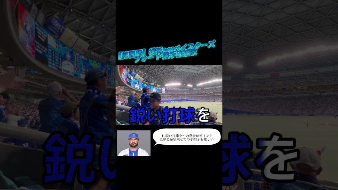 【横浜DeNAベイスターズ】フォード 選手応援歌(練習用)