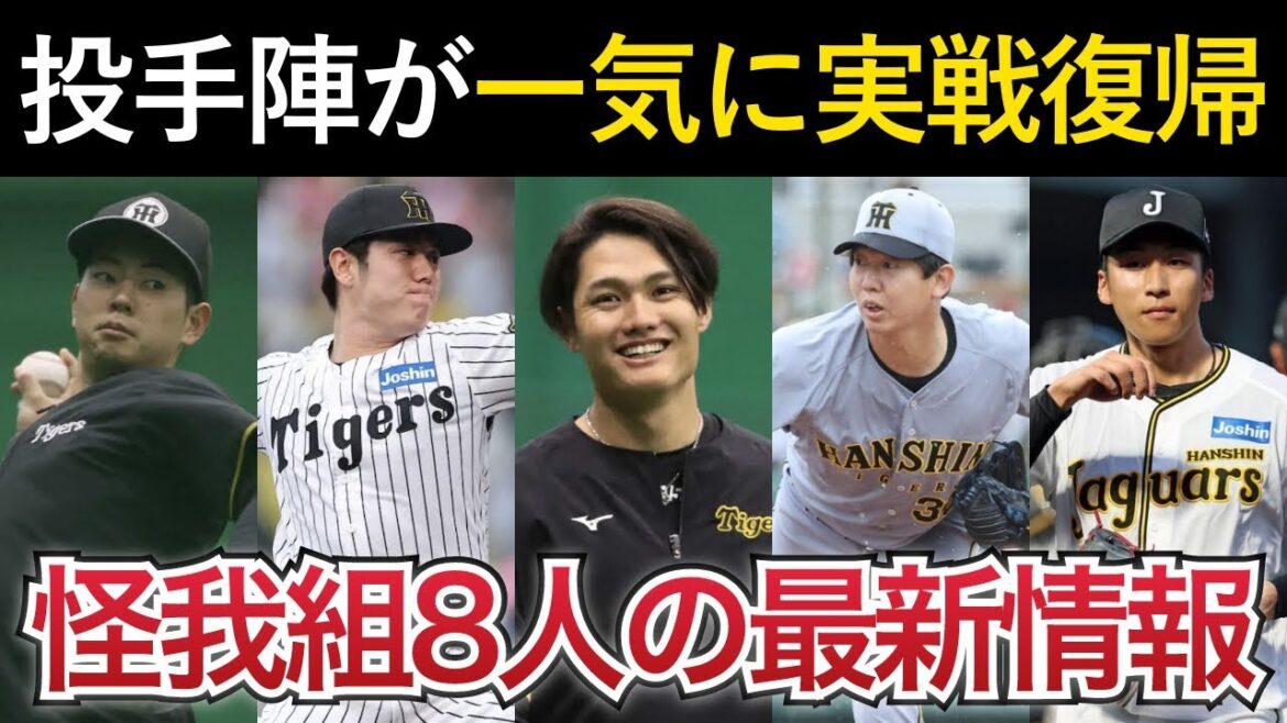 ドラ1コンビの復帰はまだまだ先か…。続々復帰で明るい材料も!【阪神タイガース) ドラ1コンビの復帰はまだまだ先か...。続々復帰で明るい材料も!【阪神タイガース)