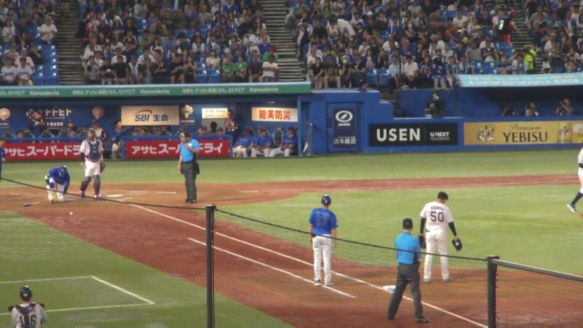 DeNA 京田陽太 デッドボール　ヤクルト vs DeNA　2025年8月13日(水)　神宮球場