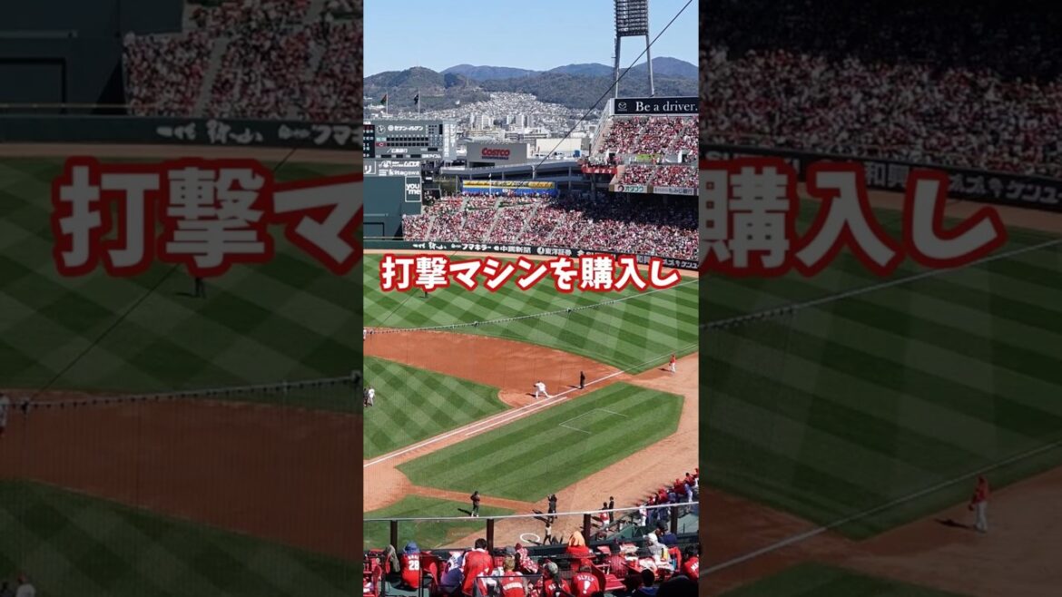 #広島東洋カープ とある選手のここまでの野球人生