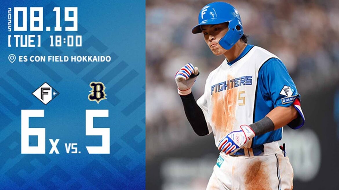 【野村が決めた！劇的9回逆転サヨナラ勝利で3連勝】vs. オリックスバファローズ 8/19ハイライト