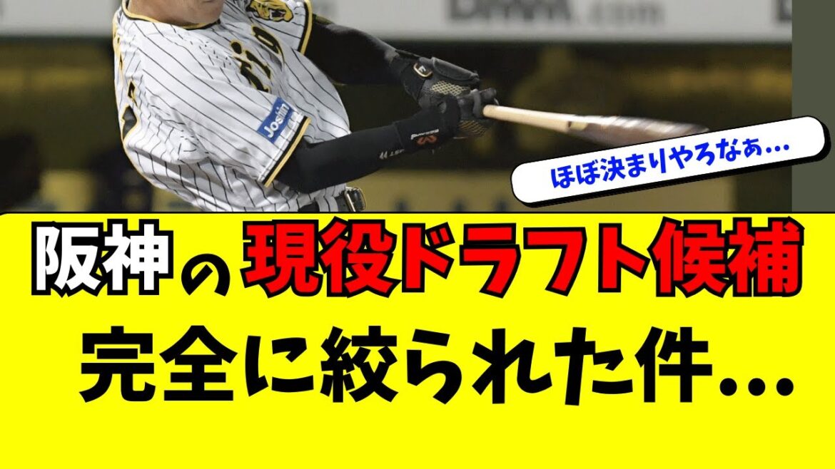 【阪神】今年の現役ドラフト候補、完全に絞られた件・・・