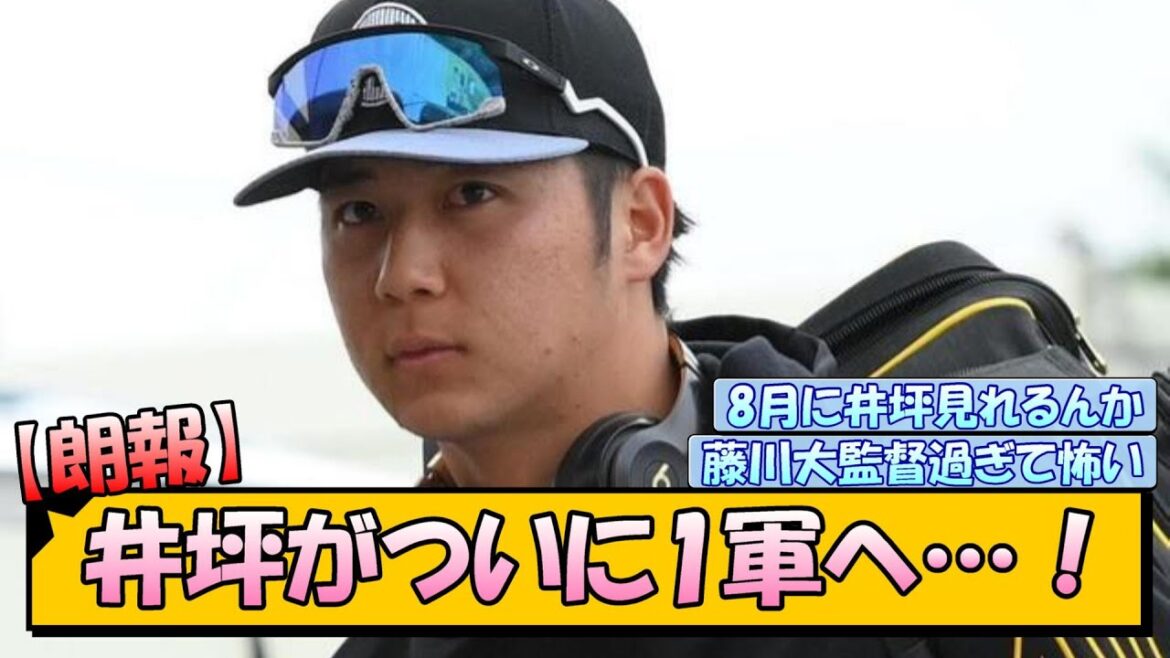 【朗報】阪神・井坪がついに1軍へ…！