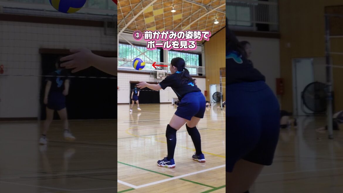 【バレーボール】美鈴が丘女子バレーボール部/レシーブのトレーニング