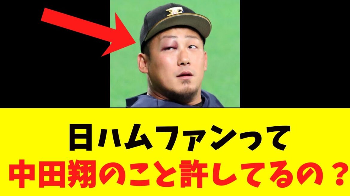 日ハムファンって中田翔のこと許してるんか？【引退】