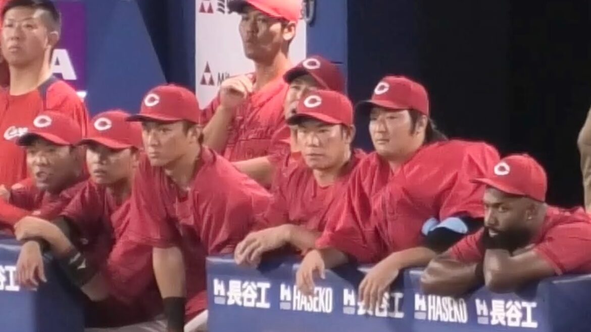 横浜DeNAに逆転勝ちした瞬間のカープベンチ&勝利のハイタッチ！広島東洋カープvs横浜DeNAベイスターズ 2025年8月19日