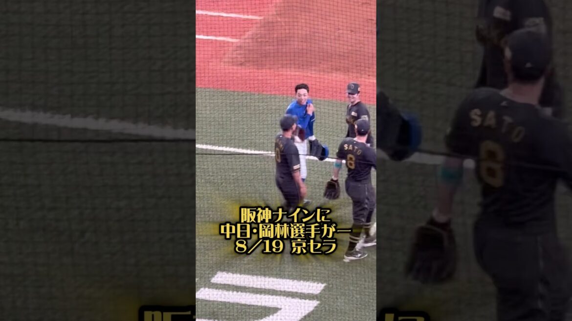 阪神ナインに中日・岡林選手がー25/8/19 #阪神 #阪神タイガース #阪神ファン #中日ドラゴンズ #中日 #タイガース #岡林勇希 #森下翔太 #中野拓夢 #木浪聖也 #ドラゴンズ #プロ野球
