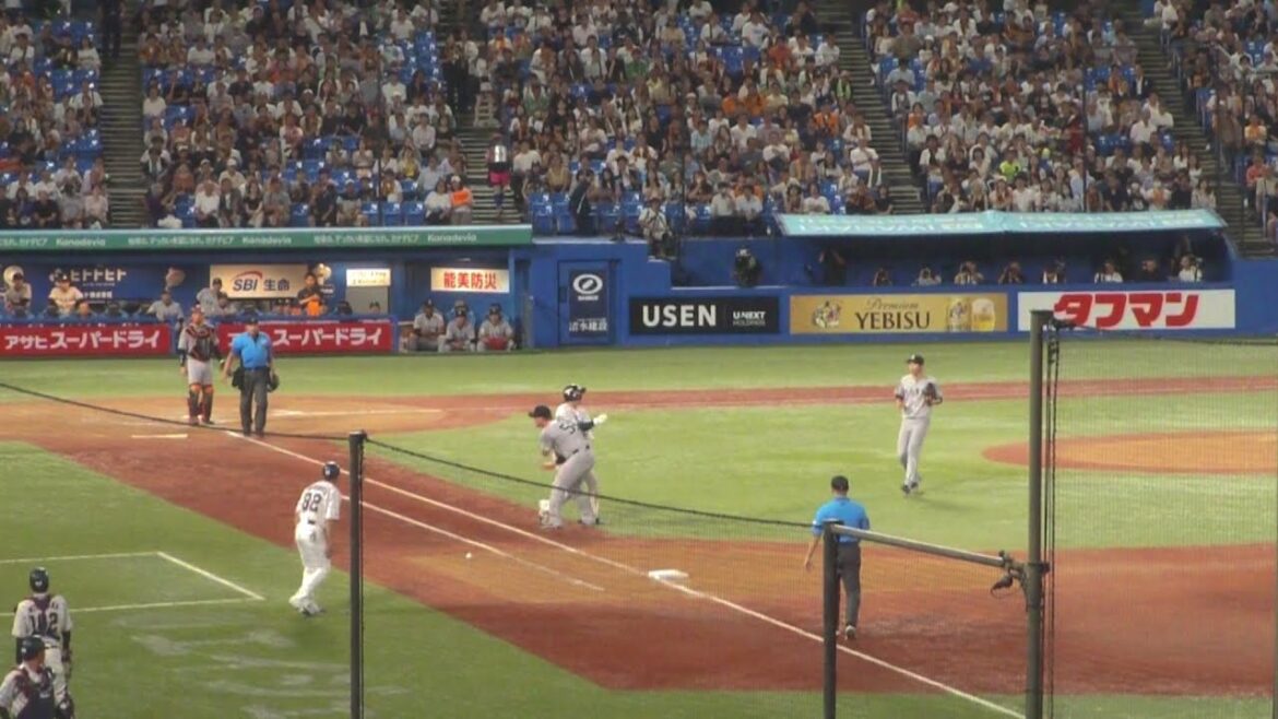 太田賢吾とリチャードが交錯のアクシデント　ヤクルト vs 巨人　2025年8月19日(火)　神宮球場