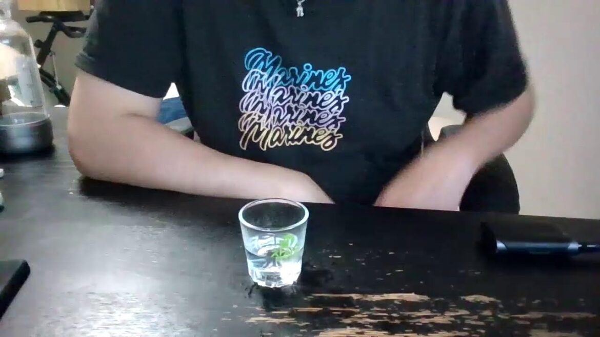 ゴミ掃除で配信遅くなった ゴミ掃除で配信遅くなった