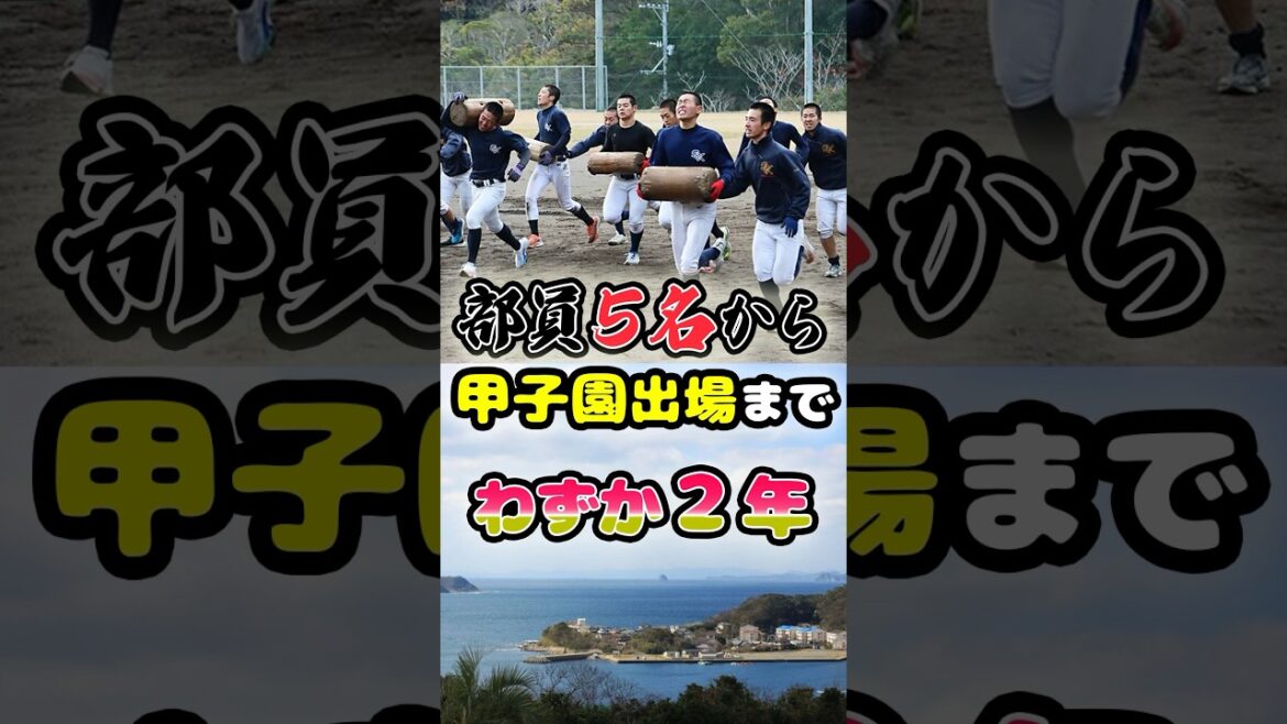 わずか5名の部員から「2年で甲子園に出場した離島の星」に関する雑学　#野球 #高校野球 #甲子園