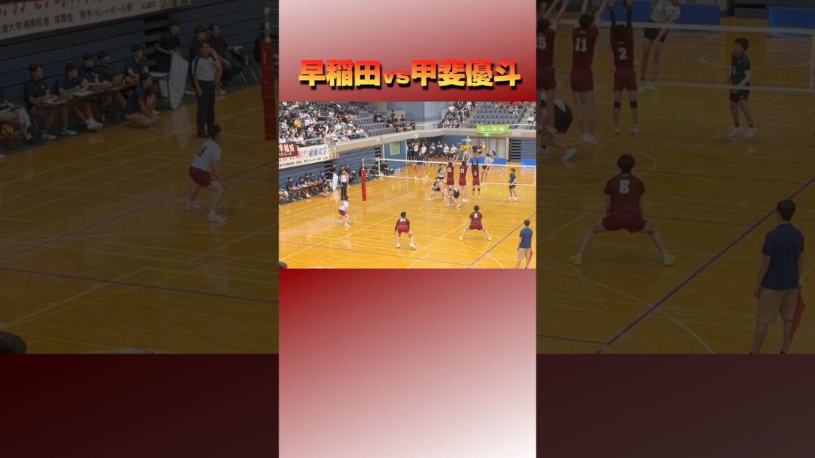 【関東大学バレー】やっぱり早稲田大学強いなぁってなるラリー