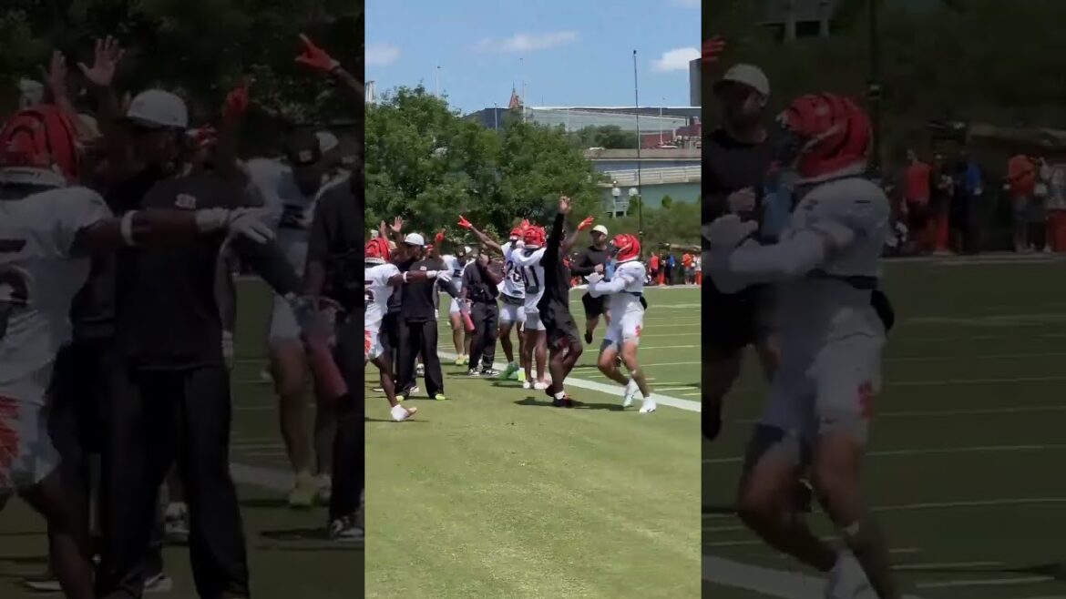 Tee Higgins with the grab in traffic Sunday on sideline route Tee Higgins with the grab in traffic Sunday on sideline route